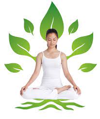 Yoga & Naturopathy Courses